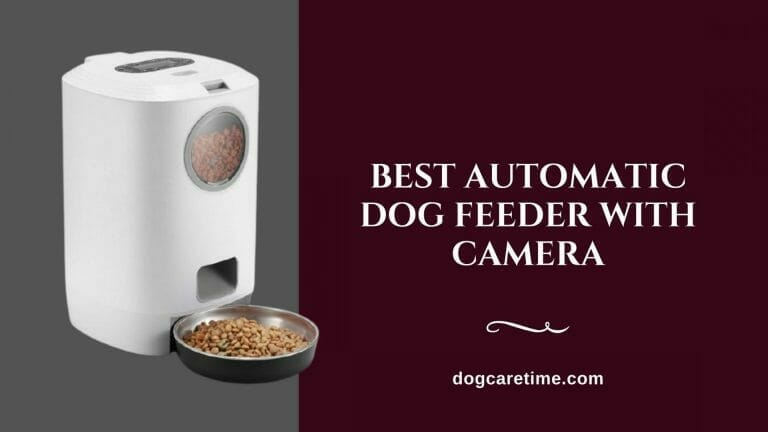 Best Automatic Dog Feeder with Camera