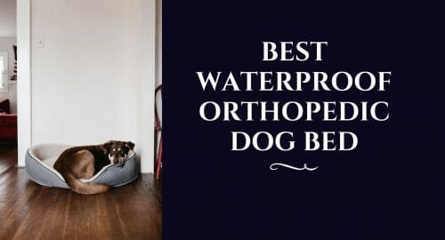 Best-Waterproof-Orthopedic-Dog-Bed