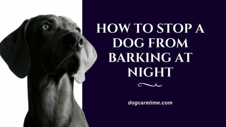 How to Stop a Dog From Barking at Night