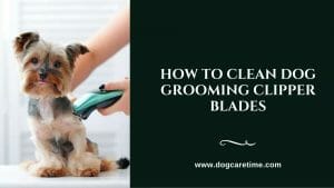 How-To-Clean-Dog-Grooming-Clipper-Blades