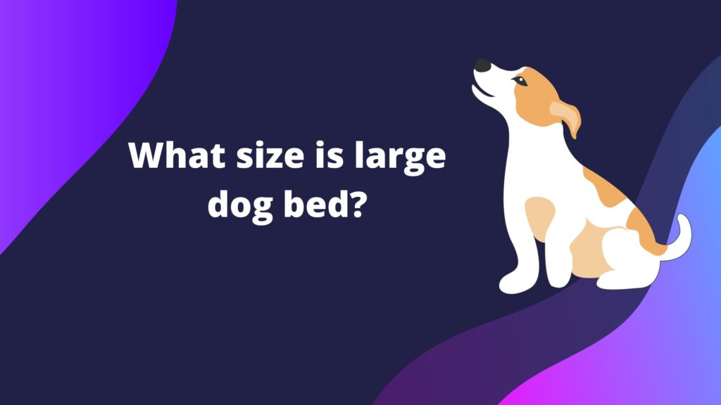 What size is large dog bed