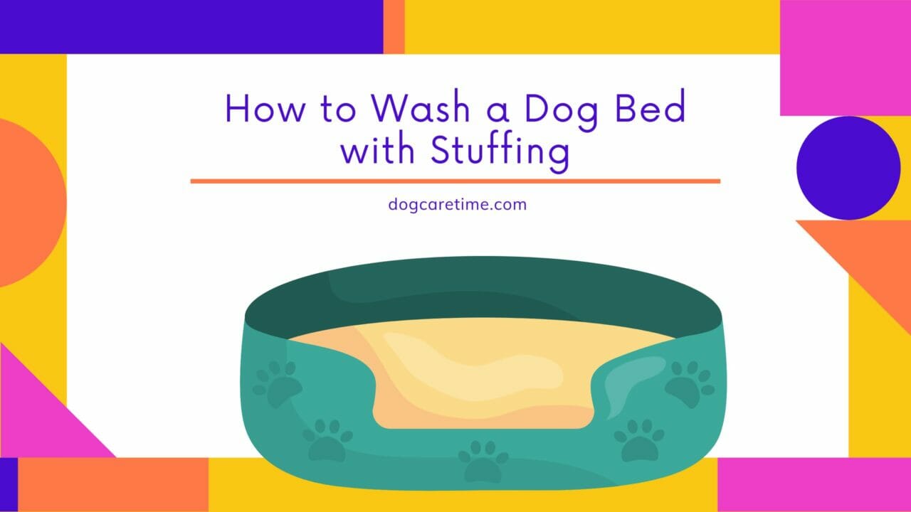 How to Wash a Dog Bed with Stuffing