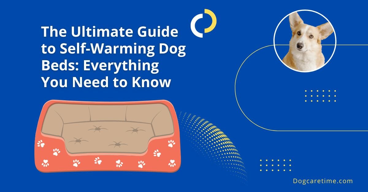The Ultimate Guide to Self-Warming Dog Beds